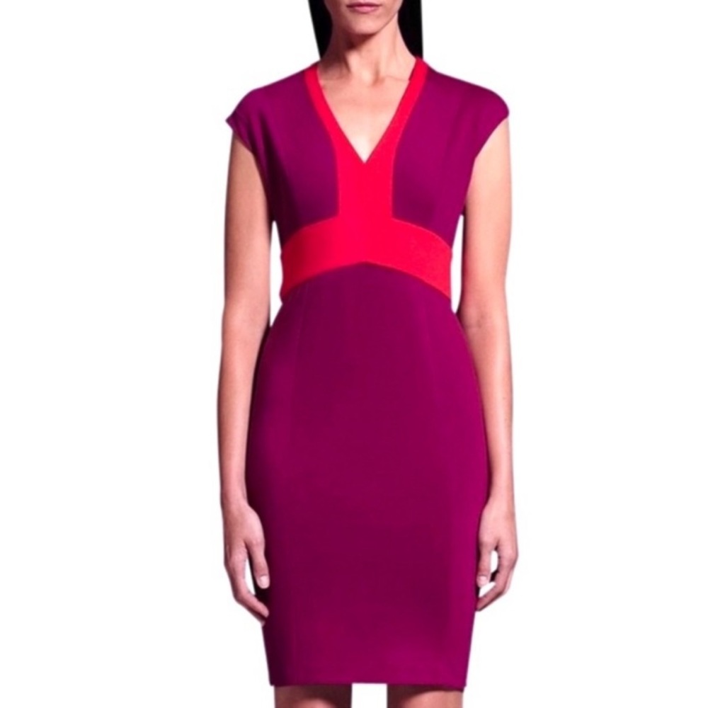 Colorblock V-Neck Purple and Red Dress